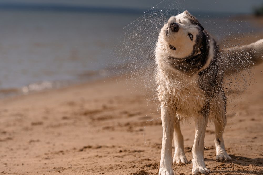 Photograph by Valentina Suvorova