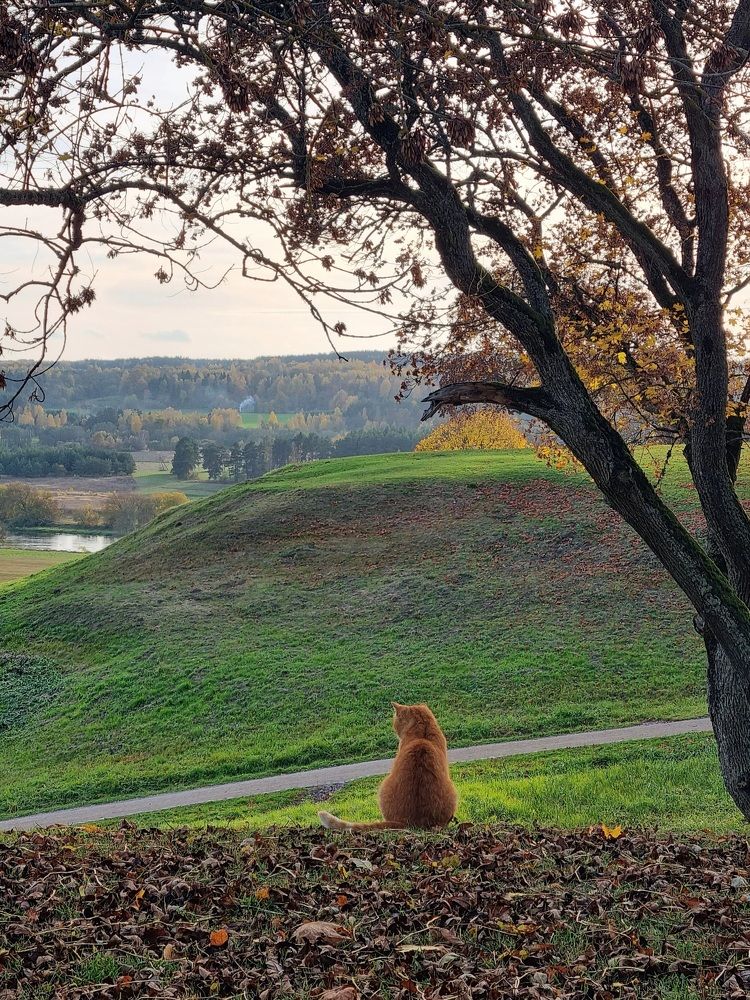 Photograph by Elena Tamošauskaite