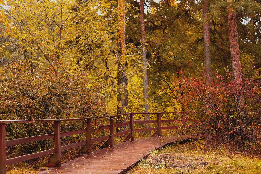 Photograph by Анна Авилочкина