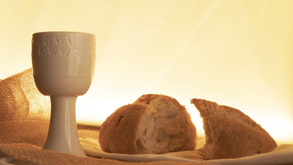 Photograph by Elena Shliachkova