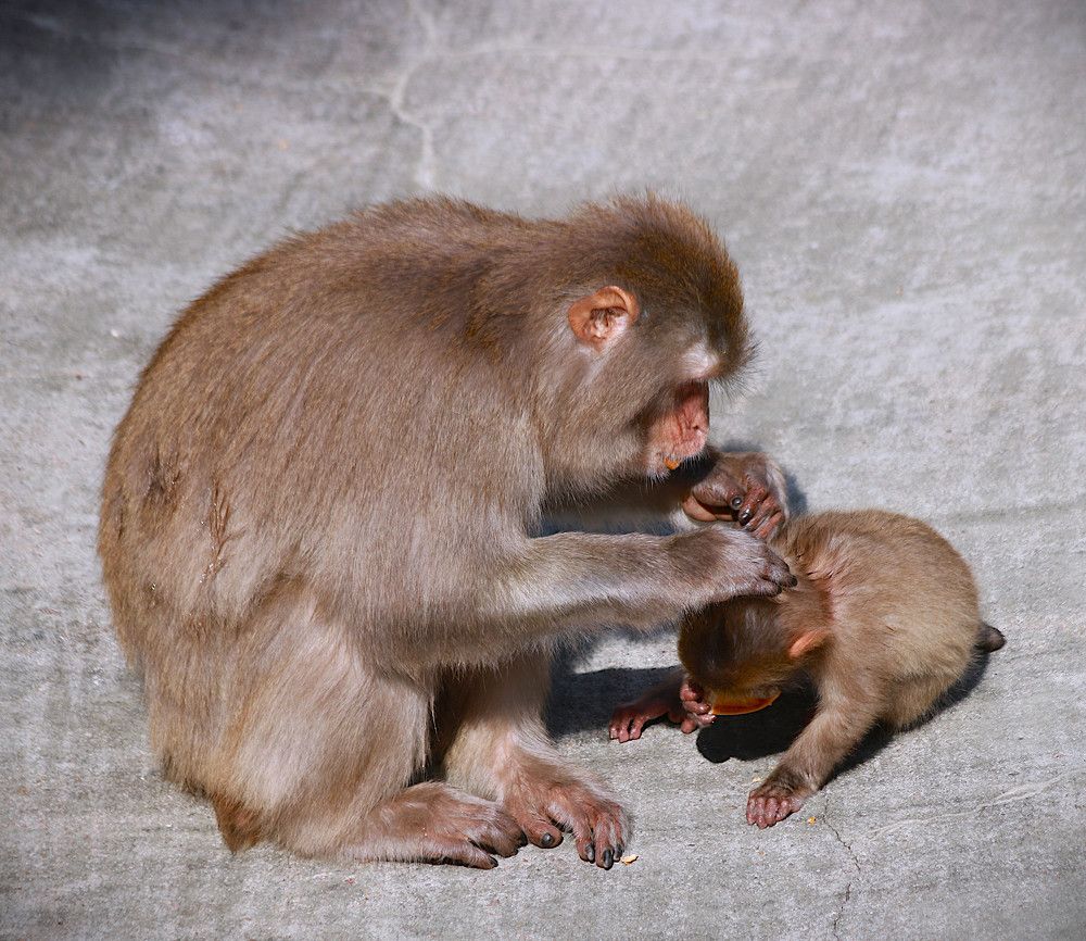 Photograph by Гагик Саркисян