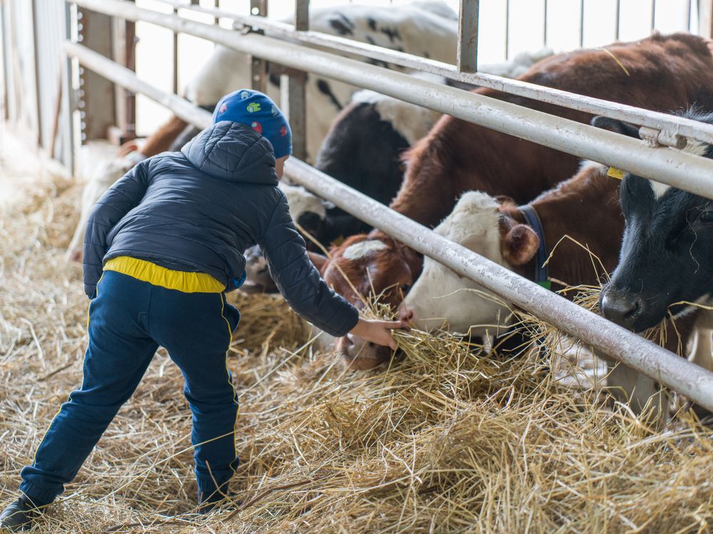 Photograph by Алексей Еремеев