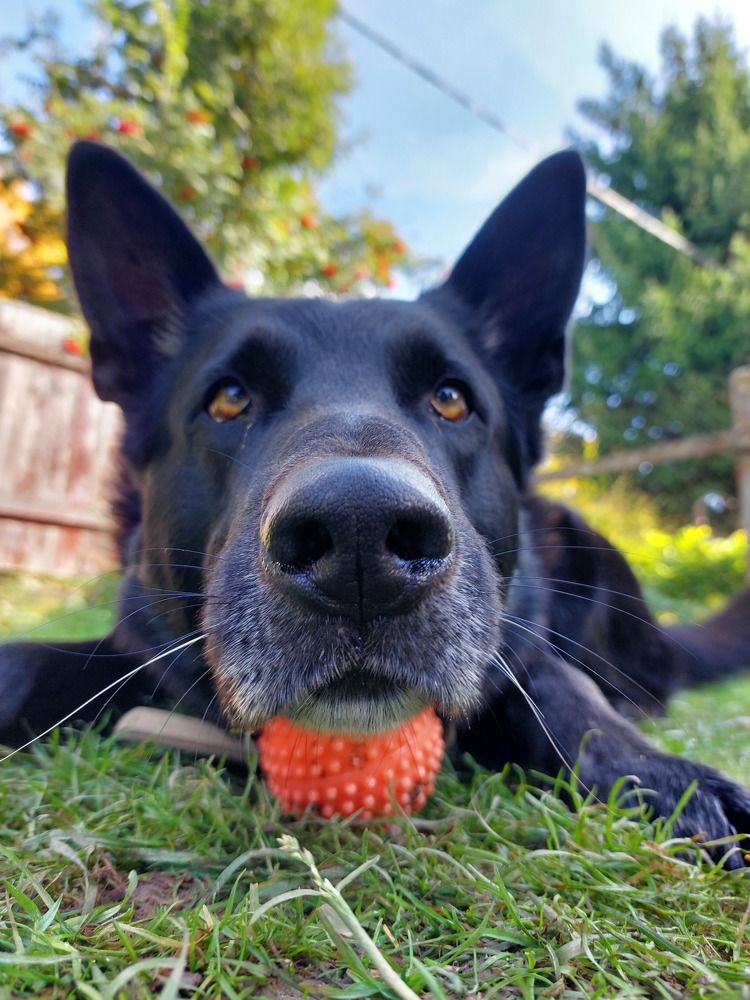 Photograph by Юлия Журавлёва