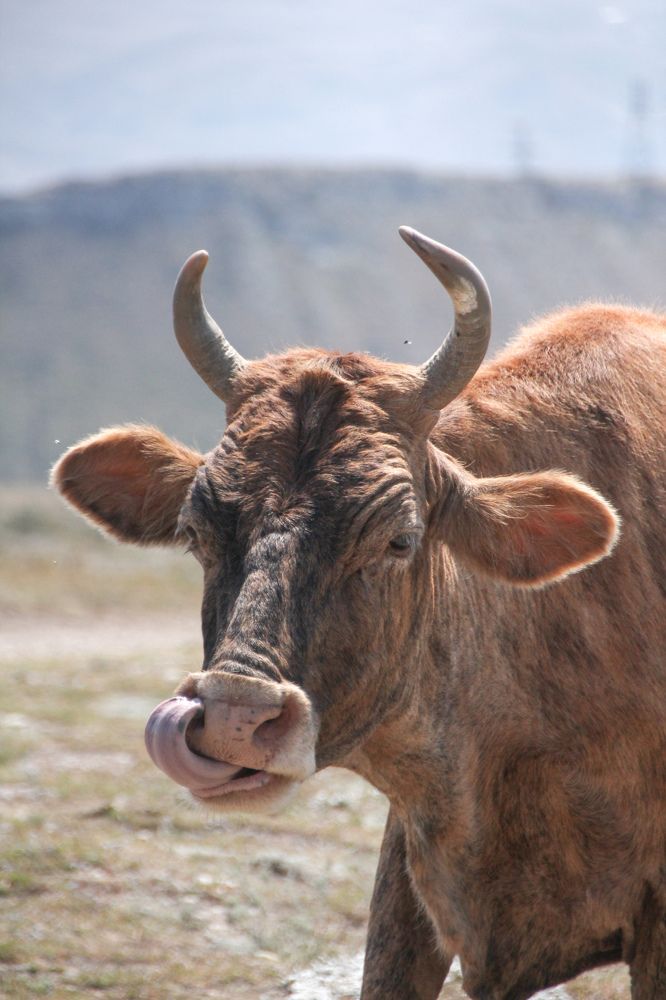 Photograph by Юлия Журавлёва