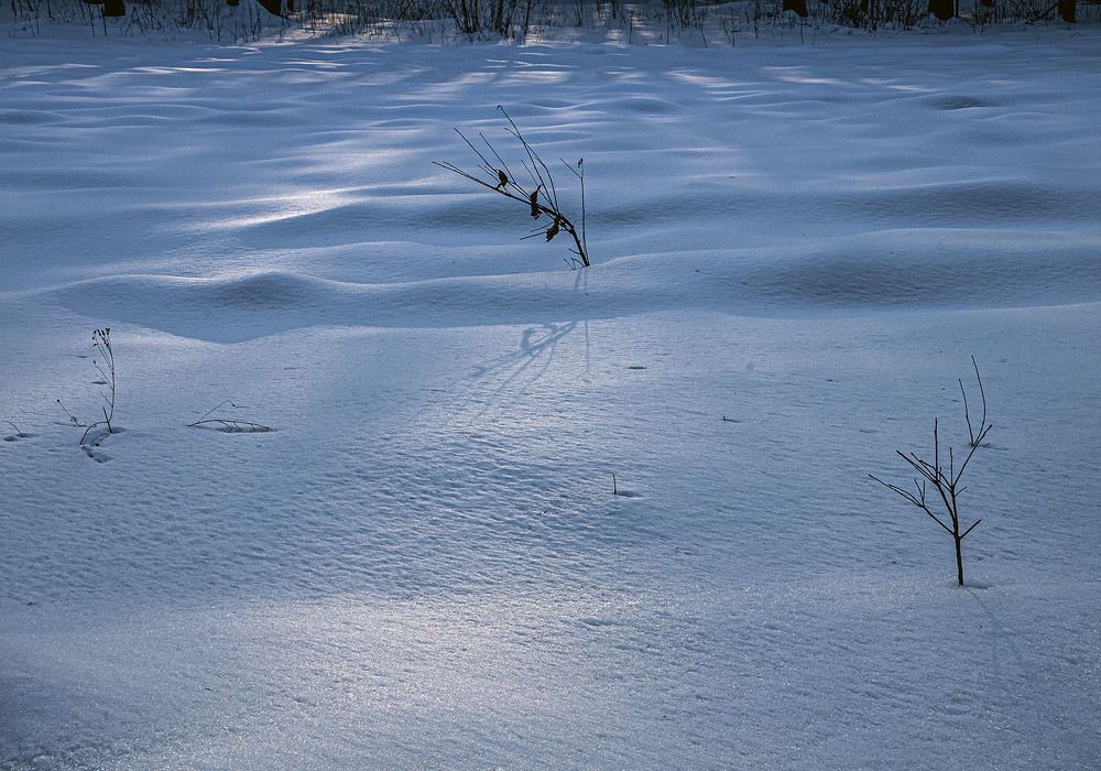 Photograph by Vladimir  Komarov