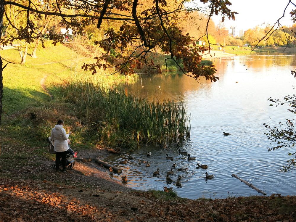 Photograph by ЭЛЬМИРА  ИСМАИЛОВА