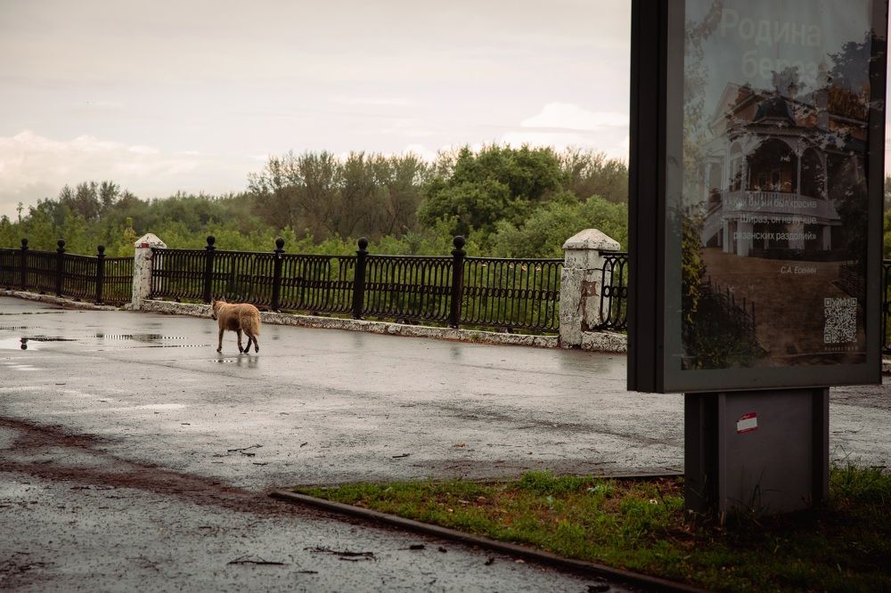 Photograph by Юлия Егорова