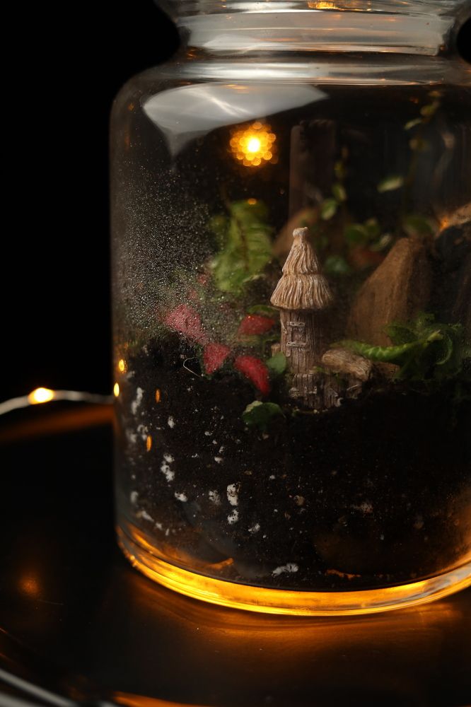 Photograph by Ксения Бабаева