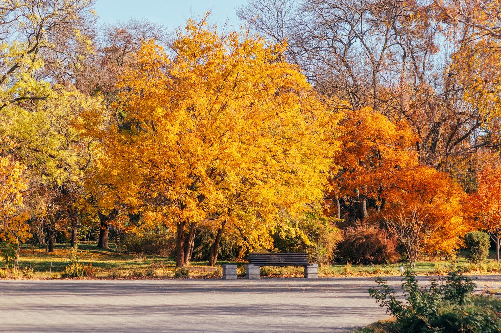 Фотография автора Виталий Панченко