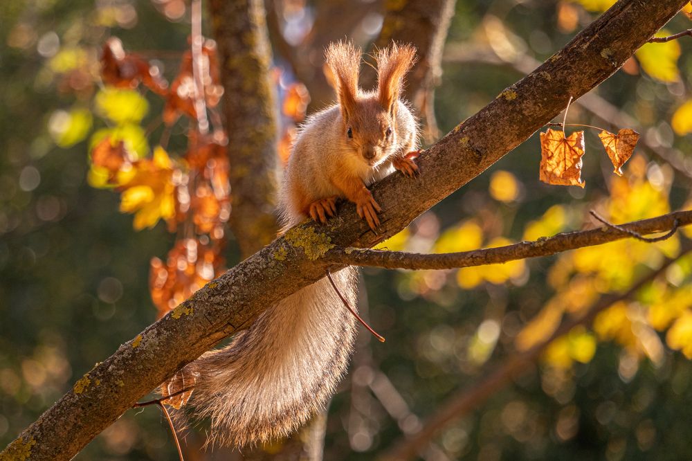 Photograph by Виталий Панченко