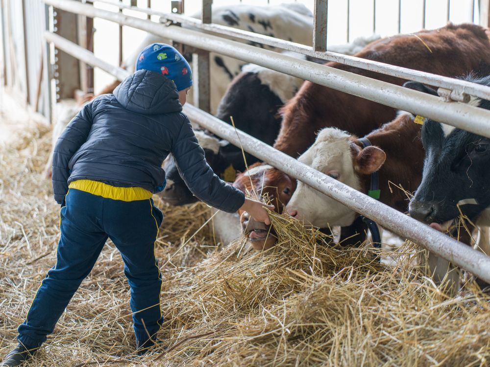 Photograph by Алексей Еремеев