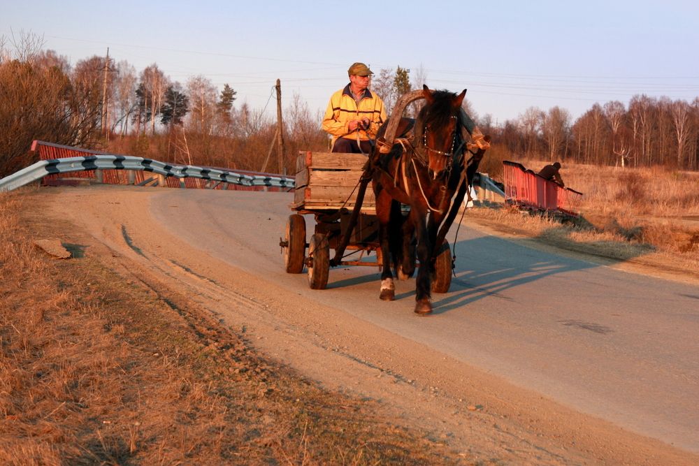 Фотография автора Nelya  Lysenko