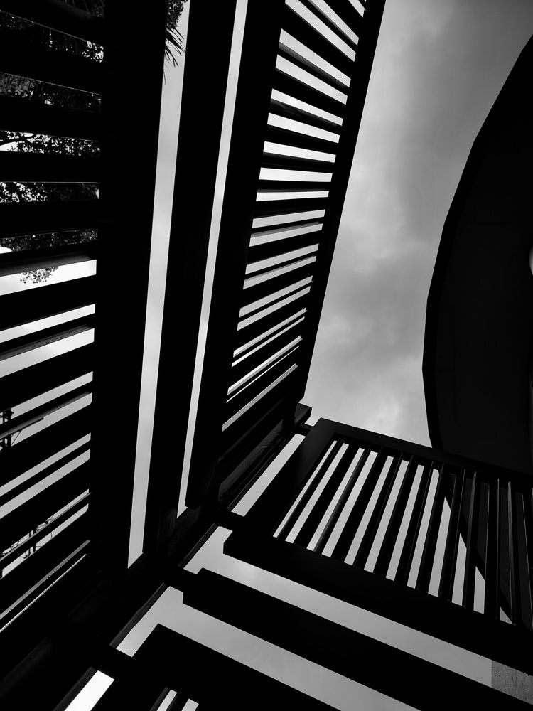 Photograph by nileydi Colmenarez