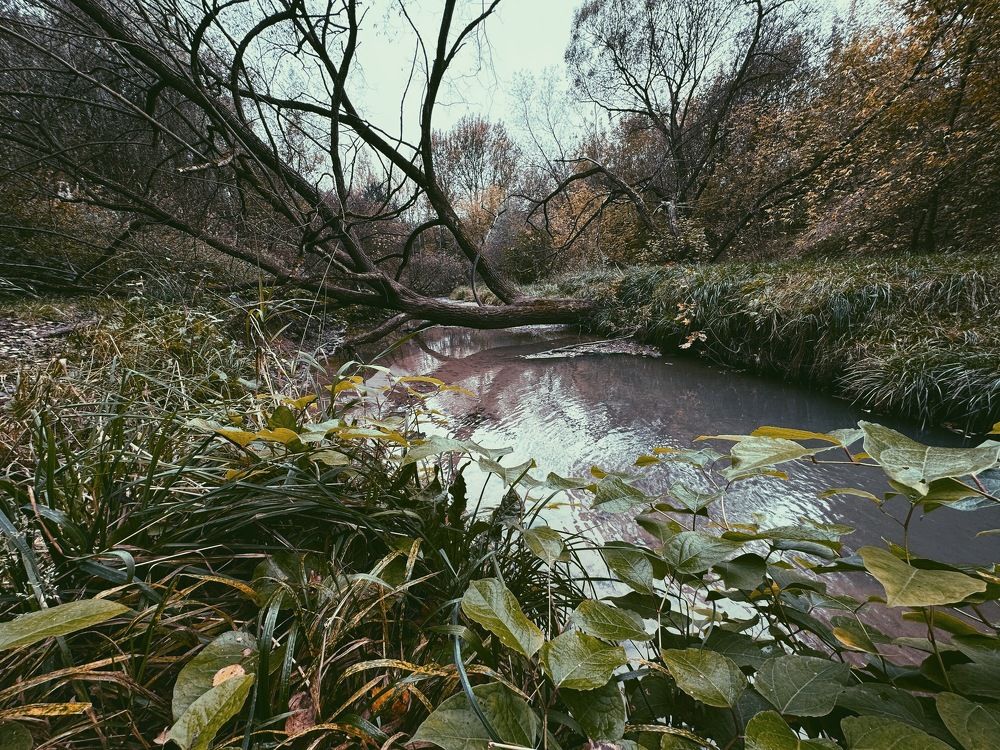 Photograph by Dmitry V. Petrenko