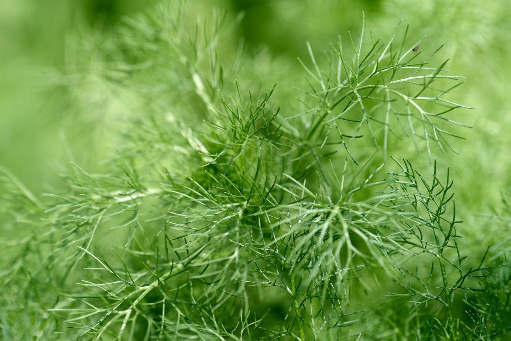 Photograph by Дмитрий Солодухин