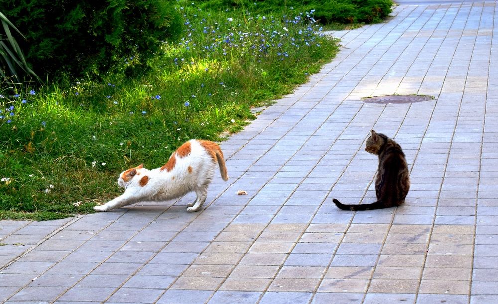 Photograph by Елена Процек