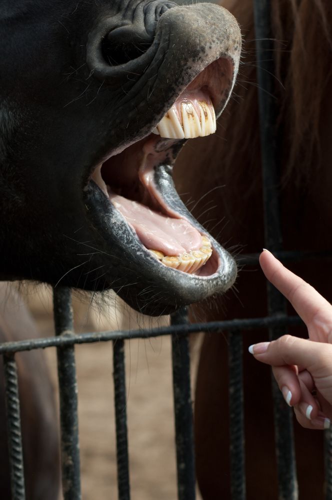 Photograph by Tatiana Teit Ash