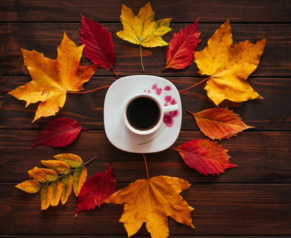 Фотография автора Виталий Панченко