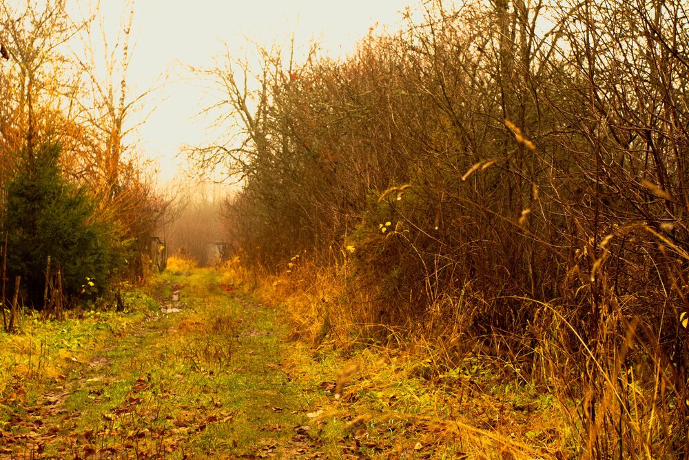 Photograph by Роман