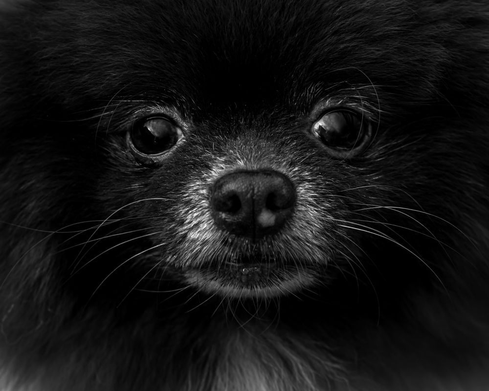 Photograph by Aljona Dyachenko