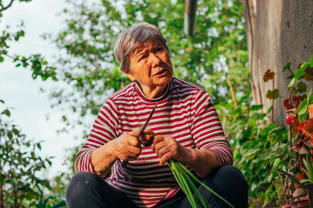 Фотография автора Виталий Панченко