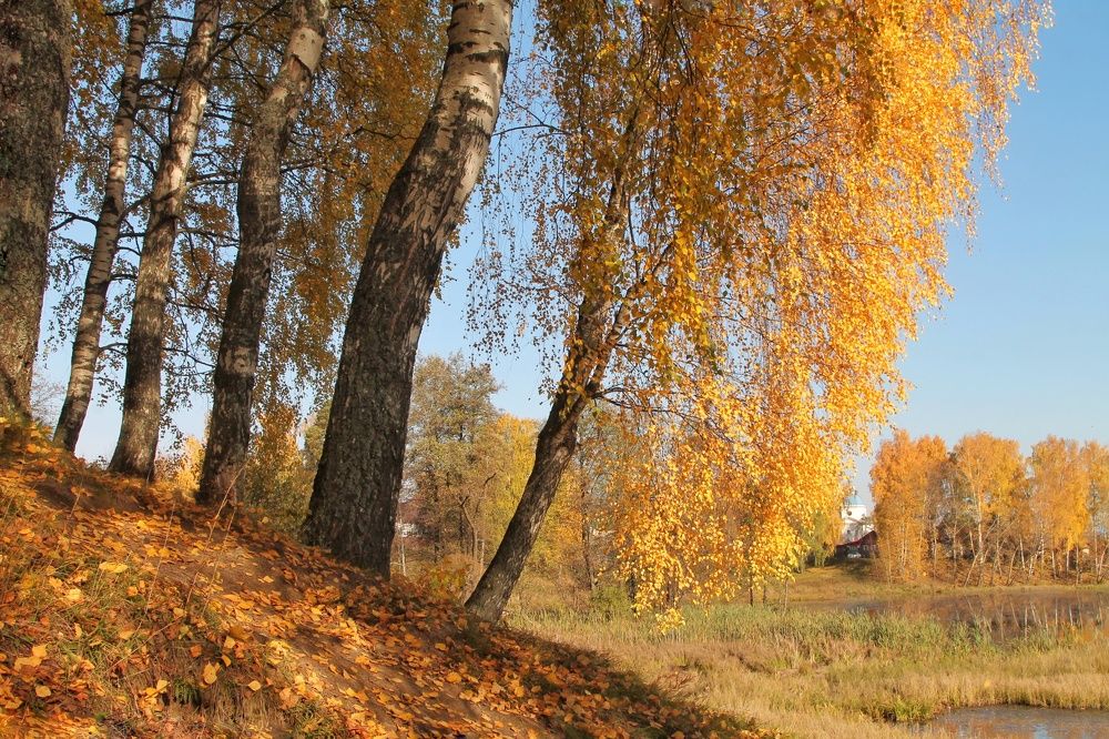 Photograph by Виктория Хмара