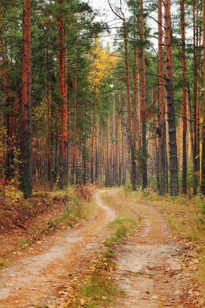 Photograph by Виктория Хмара