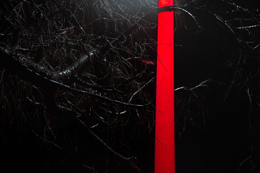 Photograph by Александр Мамойлов