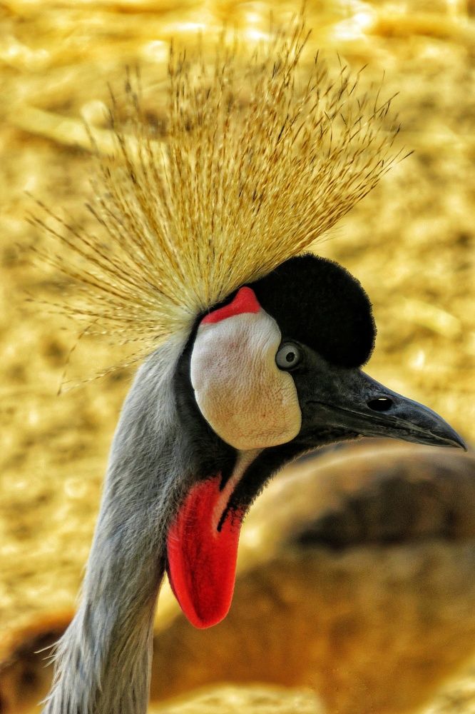 Фотография автора Mahdi Mohammadi