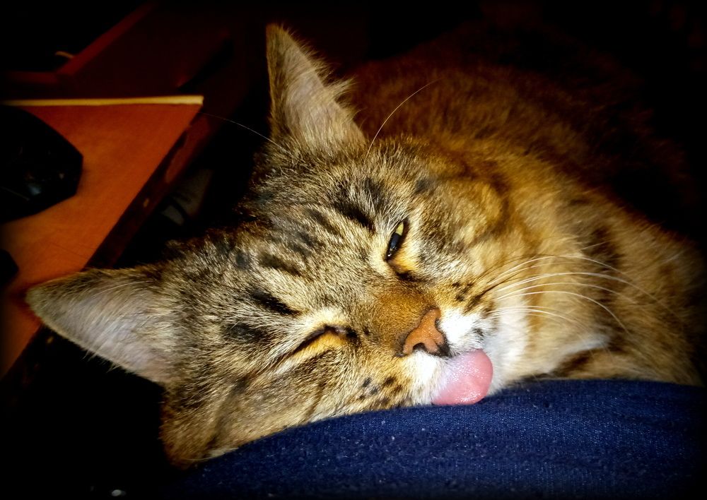 Photograph by Глеб Кузьминых