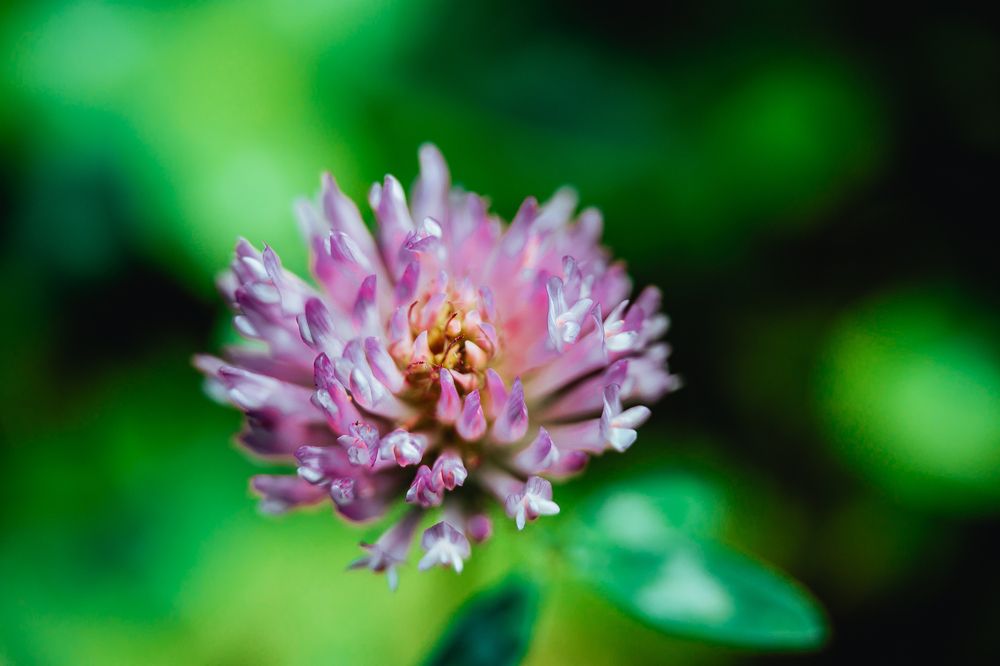 Фотография автора Юлия Соболева