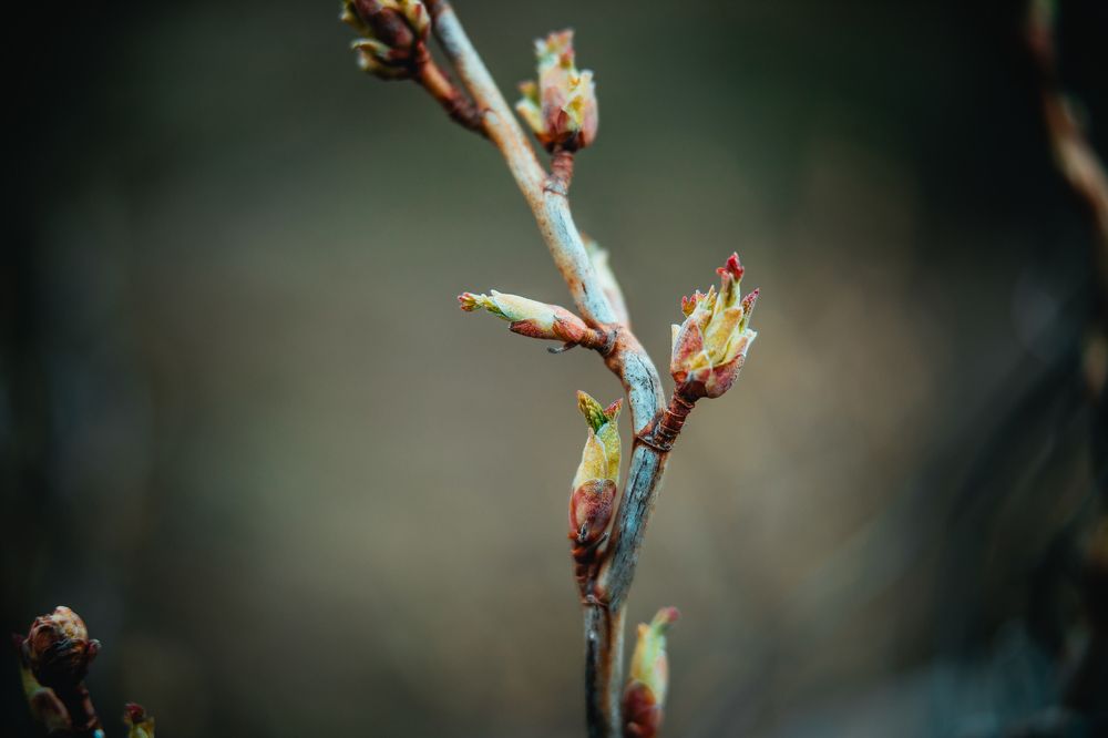 Фотография автора Юлия Соболева