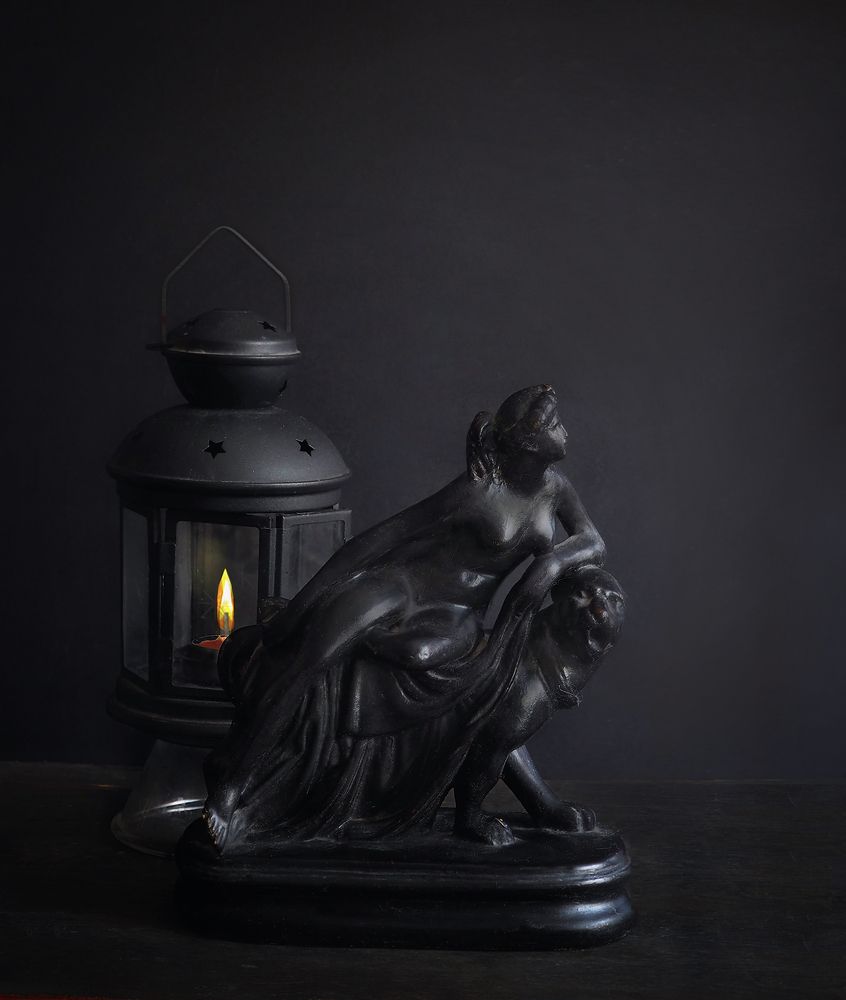 Фотография автора Vera Eremeeva