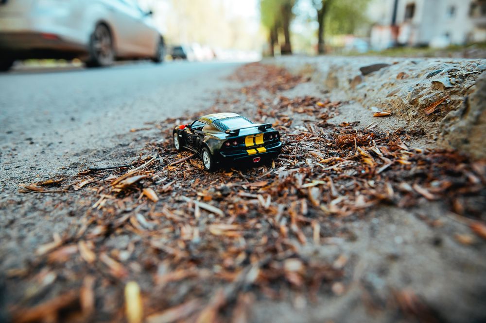 Фотография автора Юлия Соболева