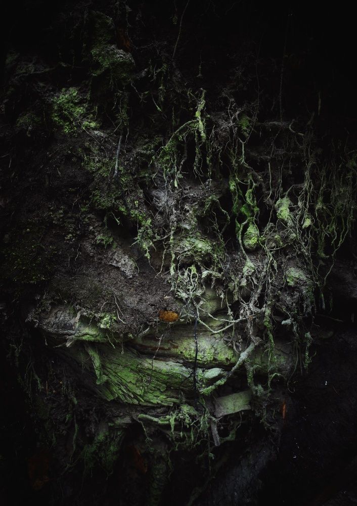 Photograph by Владимир Микрокосмос