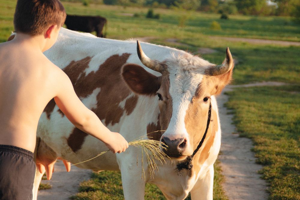 Photograph by INNA KHOMENKO