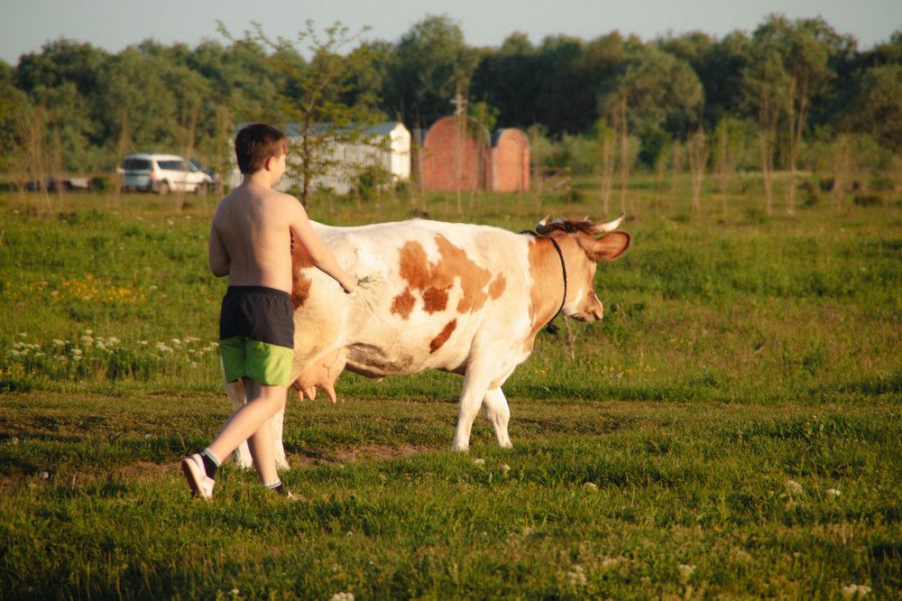 Photograph by INNA KHOMENKO