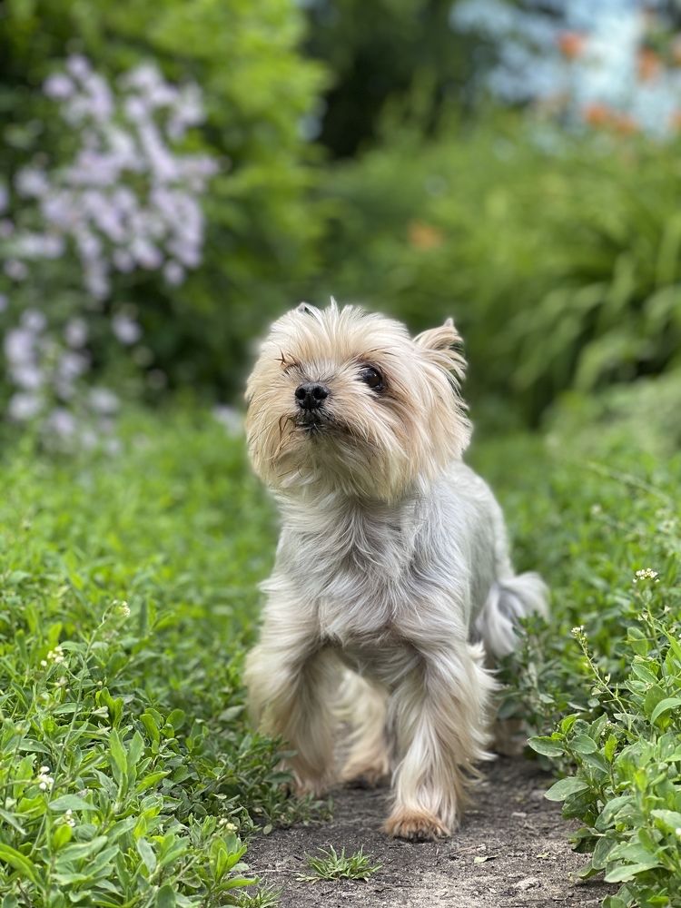 Photograph by Светлана Виденькина