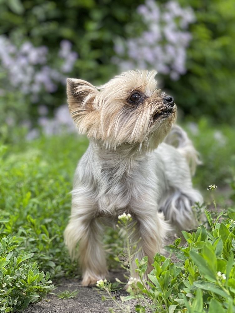 Photograph by Светлана Виденькина