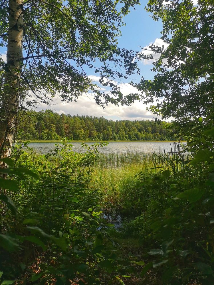 Photograph by Екатерина Борисовна Кузьмина