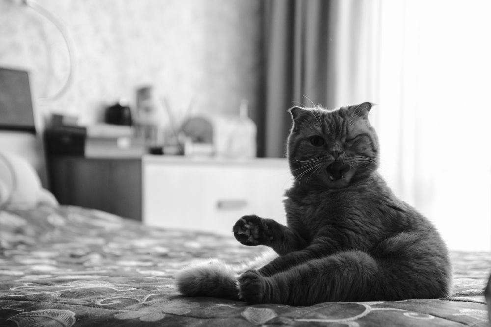 Photograph by Андрей Шелуков