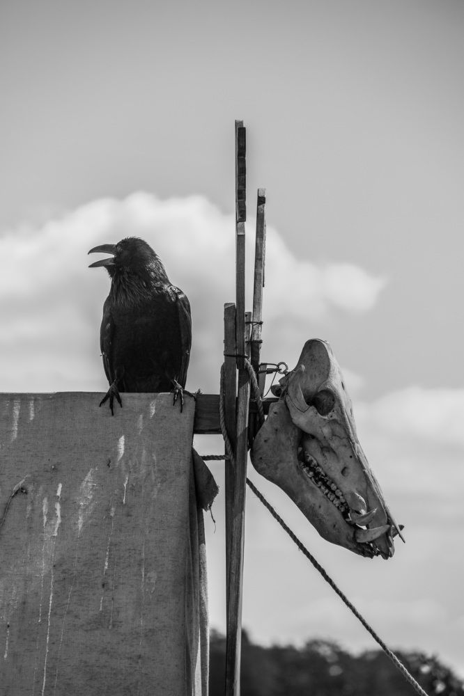 Photograph by Сагдиева Эльвира