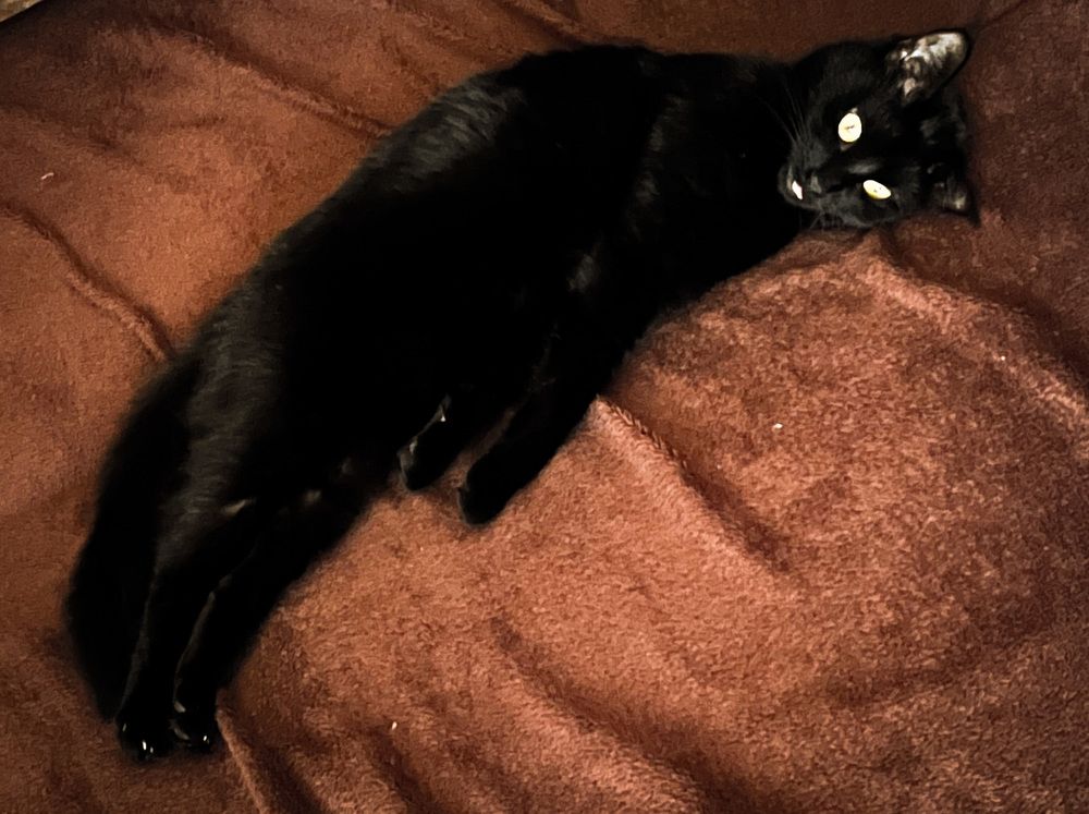 Photograph by Maxim Komissarov