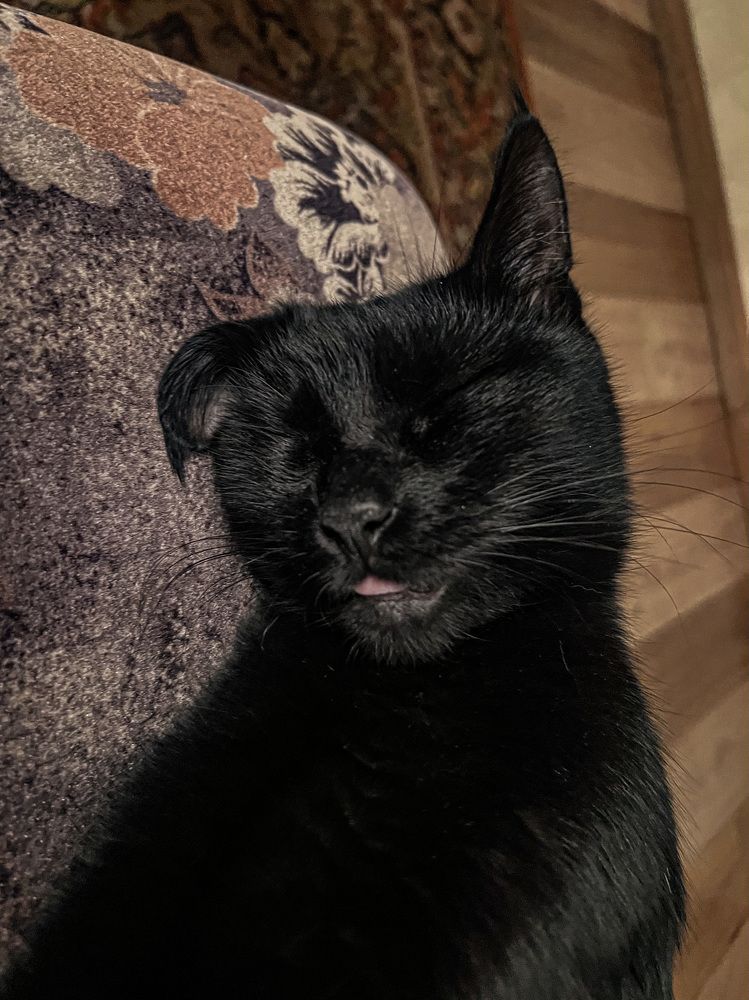 Photograph by Maxim Komissarov