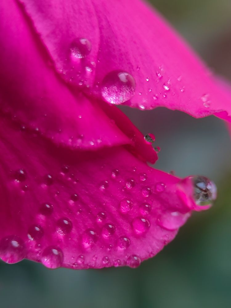 Photograph by Елена Белехова