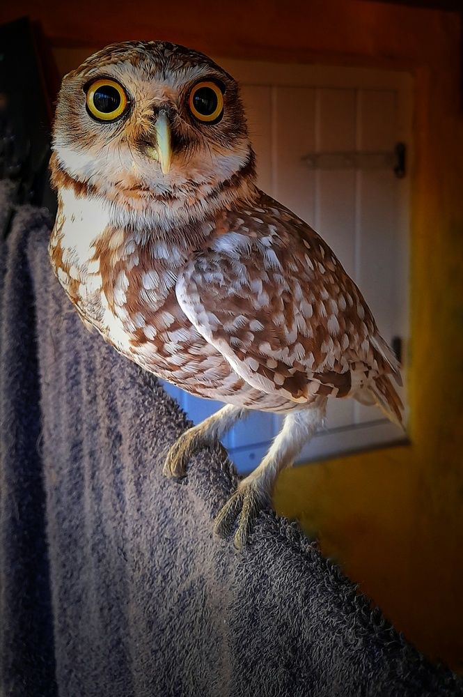 Photograph by Roberto Hagemann