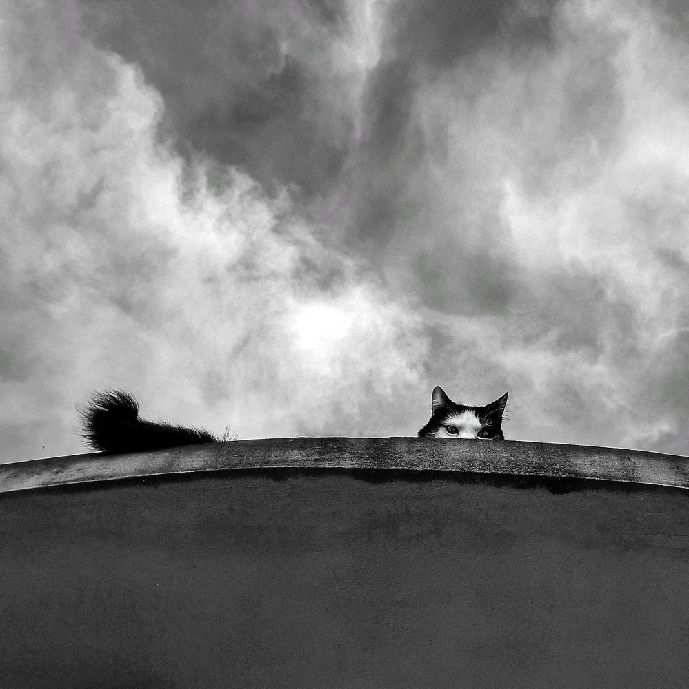 Photograph by Roberto Hagemann