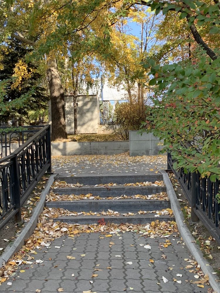 Photograph by Светлана Пономаренко