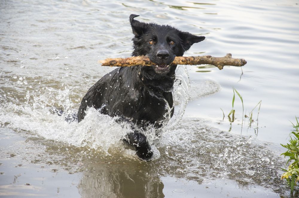 Photograph by Татьяна Титова