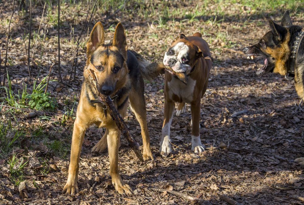 Photograph by Татьяна Титова